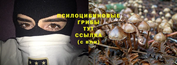 спайс Михайлов
